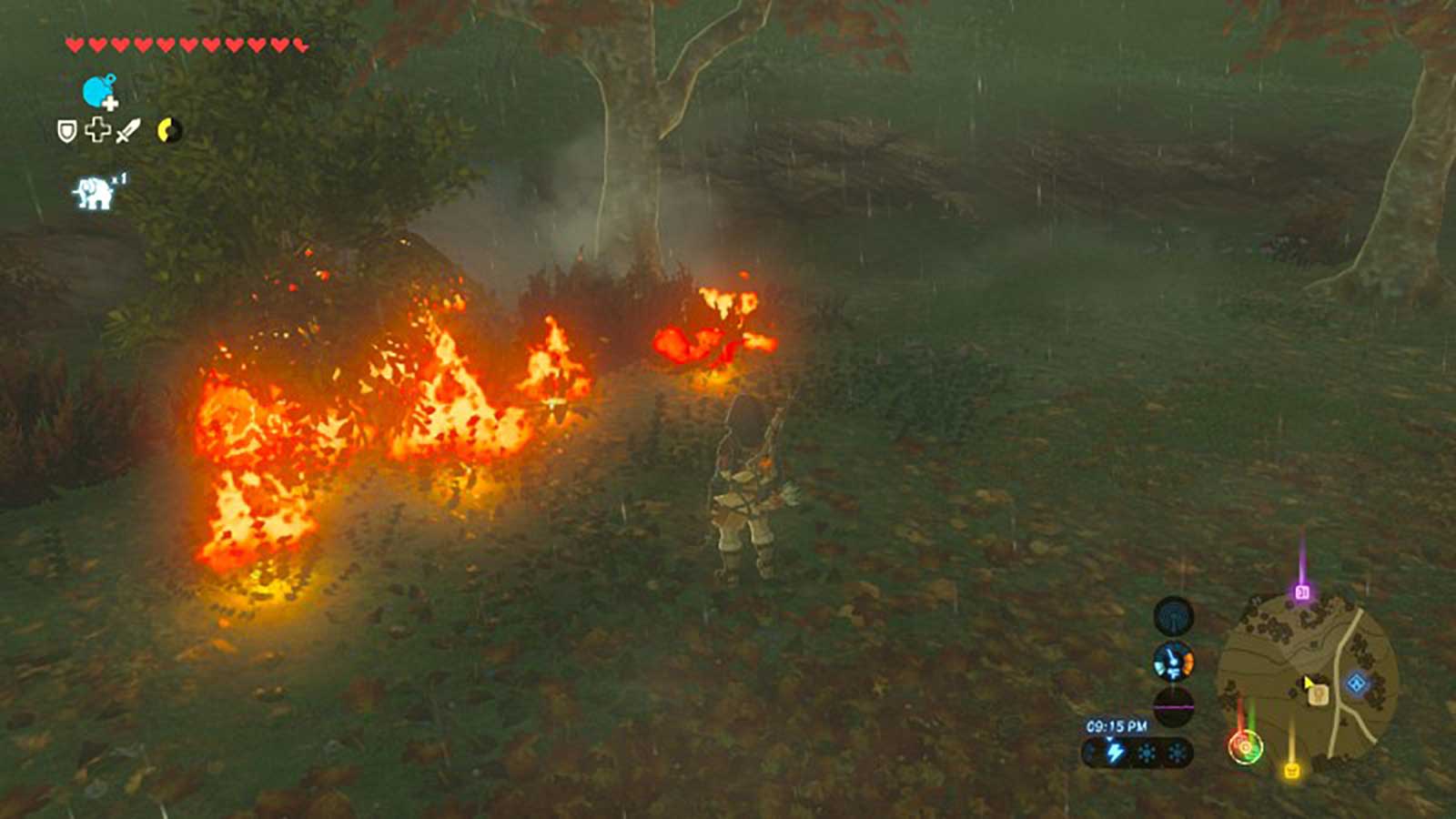 Link standing in front of burning grass and trees