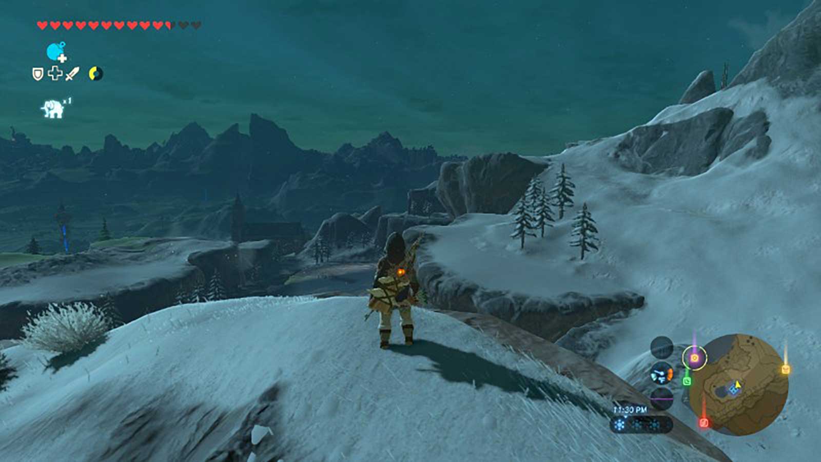 Link staring out into the snowy countryside